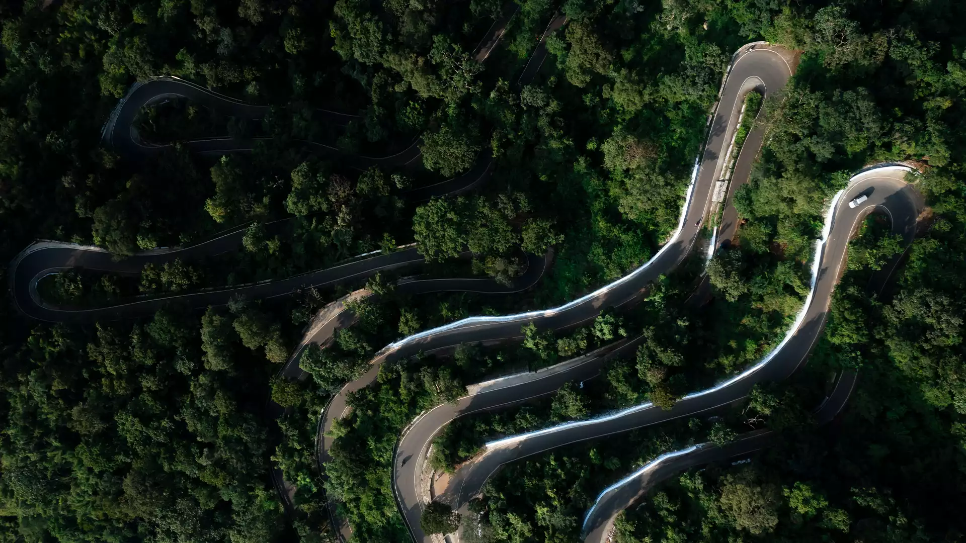 Wayanad Tour Packages from Trichy